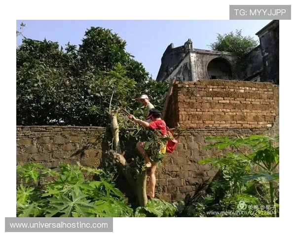 Foden 在 4-3-3 阵型中的角色