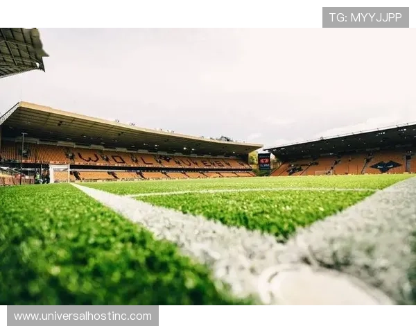 英超狼队莫利纽克斯